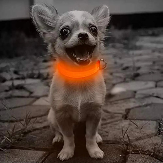 BrightPup LED Reflective Collar - USB Rechargeable Light-Up Dog Collar (X-Small Orange) Pets univers confort