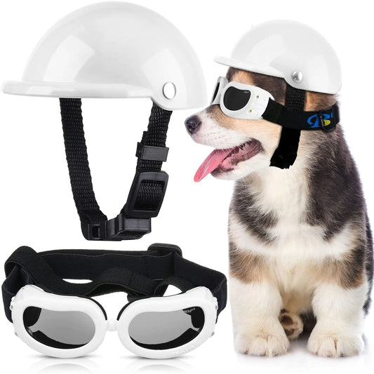 Small Dog Helmet & Goggles Set - Motorcycle Safety Gear