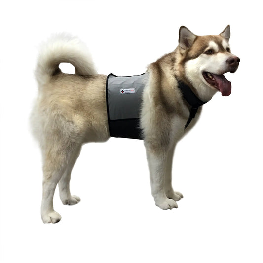 CoolerPup Large Ice Vest & Collar Set