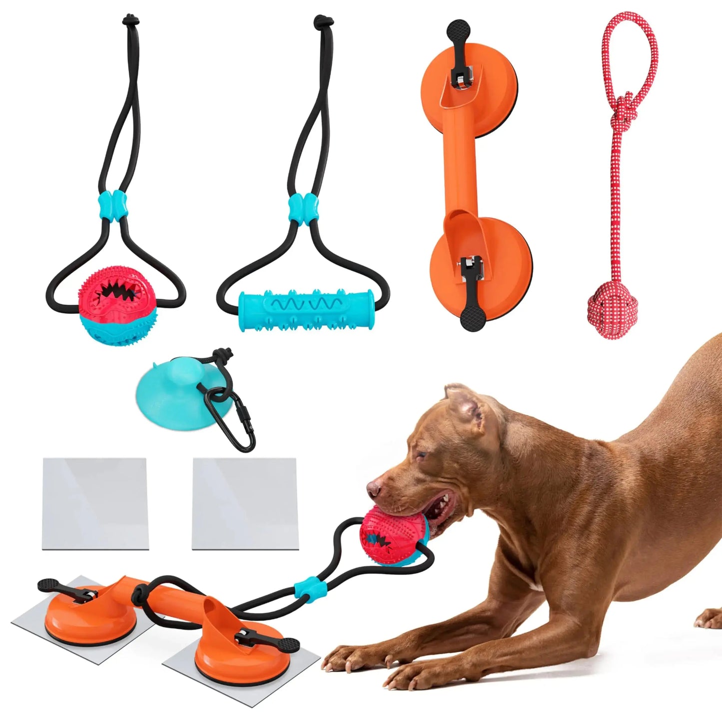 SELAPET Dual-Suction Canine Tug Toy - Durable Rope & Chew Ball Pets univers confort
