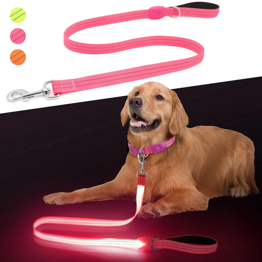 GlowStride LED Dog Leash - USB Rechargeable & Waterproof Pets univers confort